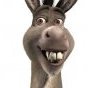 Donkey_