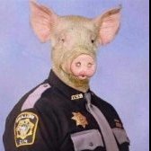 Officer-Pig