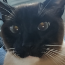 notaroomba