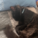Paul_02