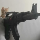small kittener