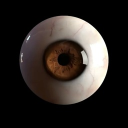 Octx1
