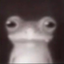 PhatGuyKai