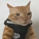 Husk